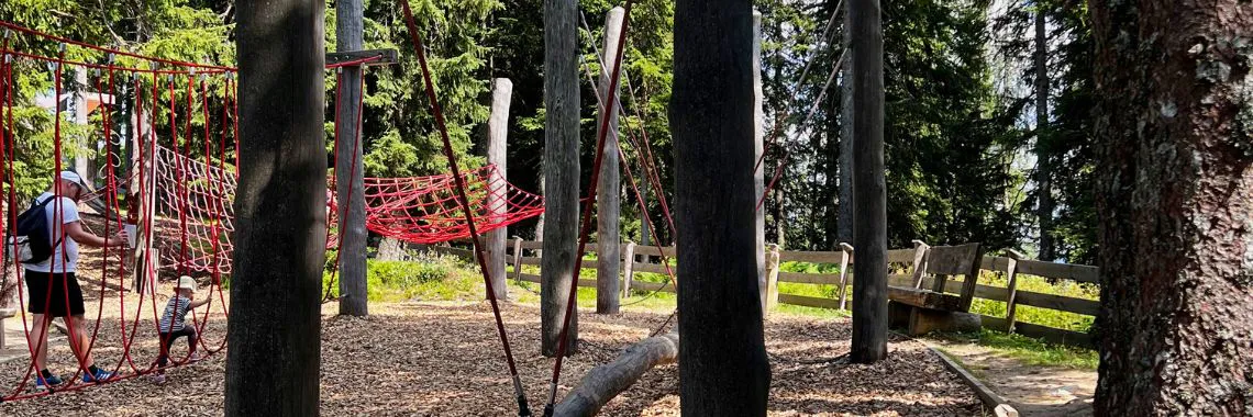 Mountainbike – Ett paradis för cykelentusiaster